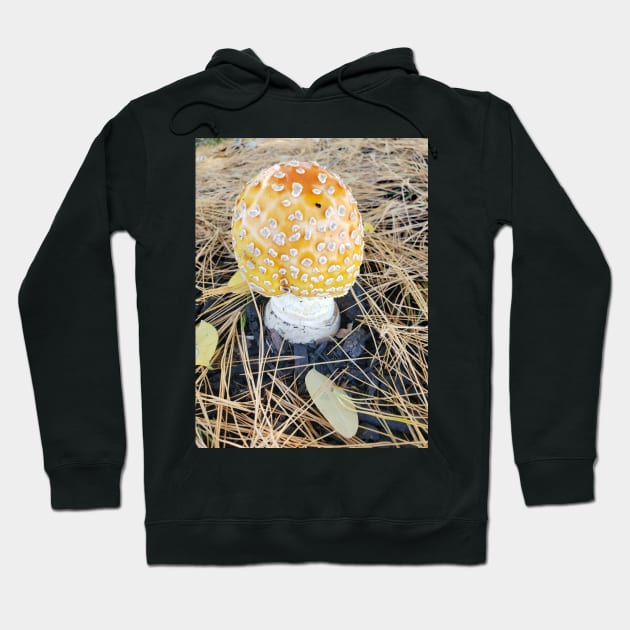 Grocery Store Amanita Hoodie by etherealwonders